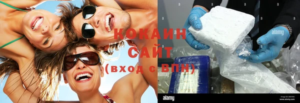 шишки Магадан