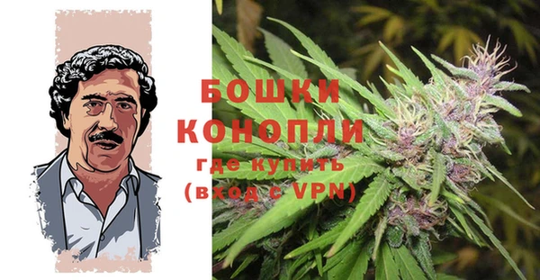 COCAINE Майский