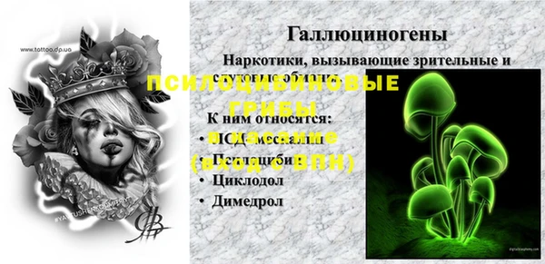 соль ск Магас