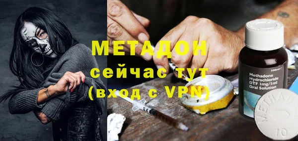 молекула духа Щигры