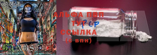 шишки Магадан
