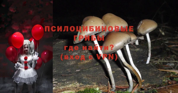 соль ск Магас